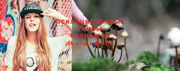 крисы Богородск