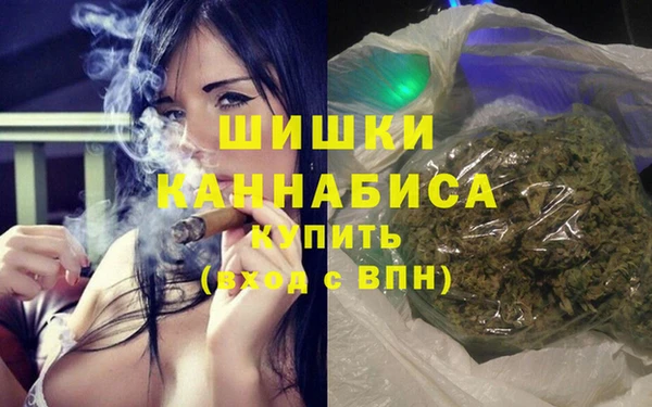 гидра Белокуриха