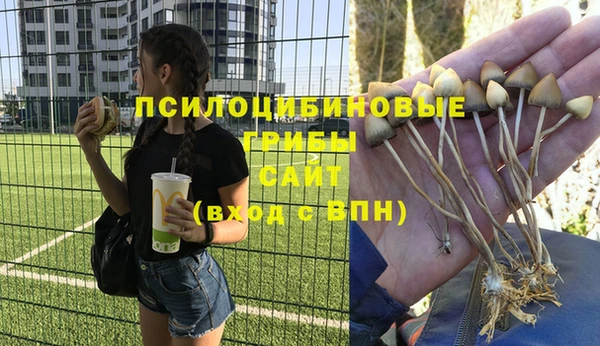 СК Богданович
